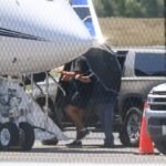 Just In: Taylor Swift Lands at Arrowhead Stadium in Her Private Jet to Support Travis Kelce One Last Time Before Their Wedding Next Week. Taylor Swift lands at Highmark Stadium in Orchard Park, New York to support Chiefs and Travis Kelce just days after their breakup becomes official.