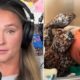 Kylie Kelce Breaks Silence After Visiting Hospital for Autism Test, Youngest Daughter Finn Has Been Confirmed to Be…