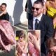Complete Video of Shocking First Appearance as Taylor Swift and Travis Kelce Were Spotted at JuJu Smith-Schuster’s Wedding, One Week After Their Own