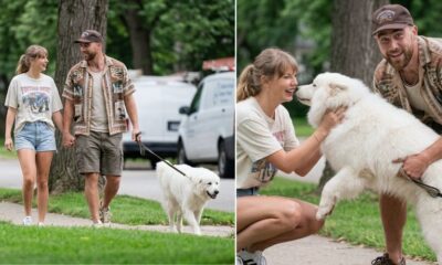 Newlyweds Taylor Swift and Travis Kelce Spotted on a Loved Up Dog Walk with Their Newly Adopted Large Fluffy White Dog and Fans Are Stunned Because the Famous Cat Mom Just Switched Sides... See Newly Released Clip