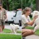 Newlyweds Taylor Swift and Travis Kelce Spotted on a Loved Up Dog Walk with Their Newly Adopted Large Fluffy White Dog and Fans Are Stunned Because the Famous Cat Mom Just Switched Sides... See Newly Released Clip