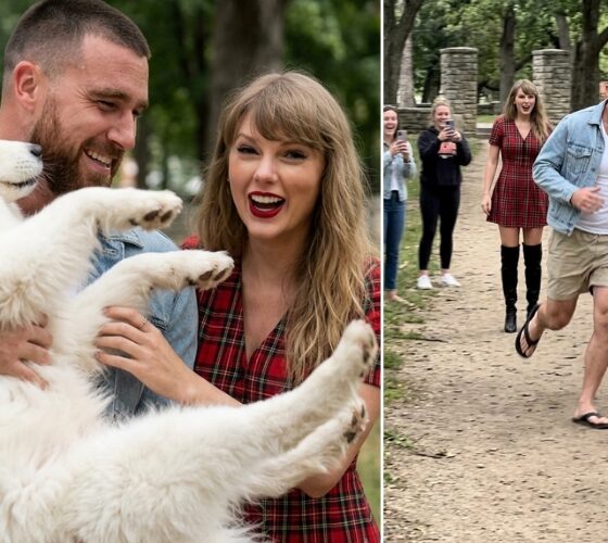Travis Kelce and Taylor Swift Caught on Chiefs Sunday Rest Day Walking Their Energetic Samoyed Dog "Wendy" Through Krug Park in St. Joseph, Only for Fans to Go Into Complete Meltdown When The Dog Suddenly Slipped Her Collar