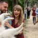 Travis Kelce and Taylor Swift Caught on Chiefs Sunday Rest Day Walking Their Energetic Samoyed Dog "Wendy" Through Krug Park in St. Joseph, Only for Fans to Go Into Complete Meltdown When The Dog Suddenly Slipped Her Collar